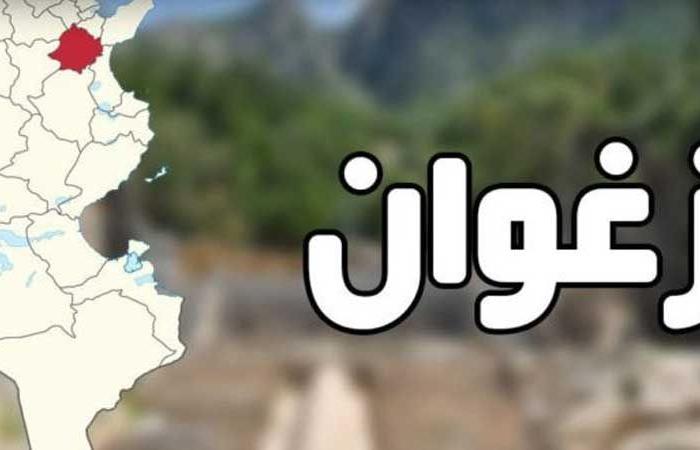 رجّة أرضية بزغوان