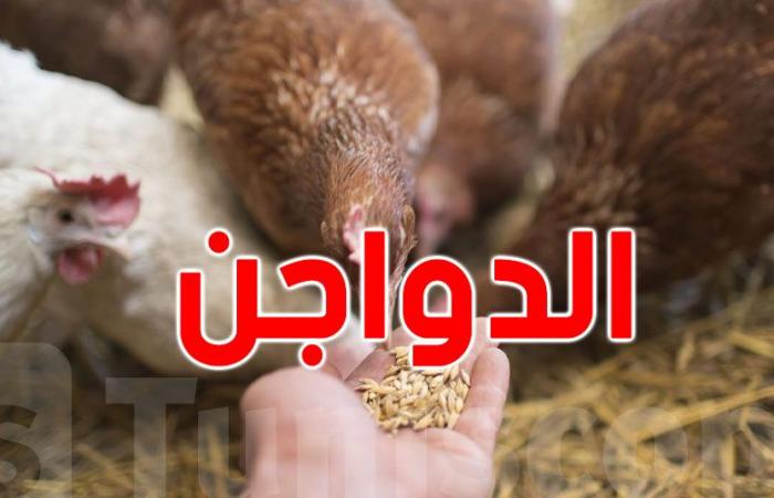 تذكير للتونسيين : وزارة التجارة تؤكد أن ''الدجاج الحي'' يباع ب 5300 مليم/ الكغ