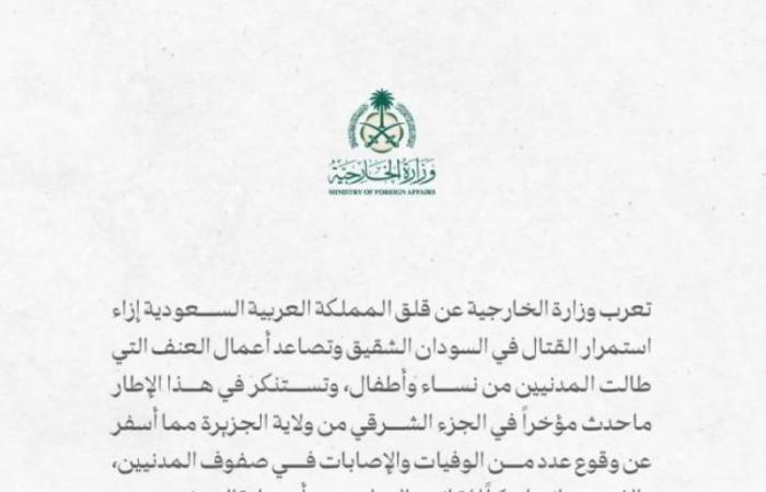 الأمين العام للأمم المتحدة : «مصدوم» من معارك وسط السودان