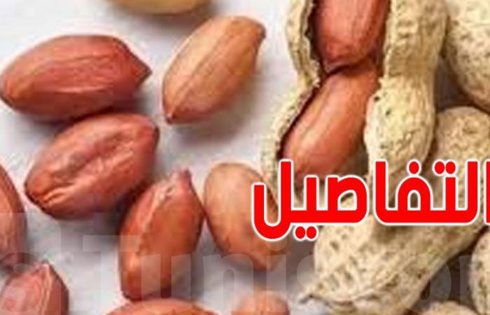 نابل: إرتفاع إنتاج ''الكاكاوية''