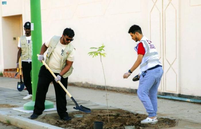 "ملكية ينبع" تطلق مبادرة "أحياؤنا خضراء"