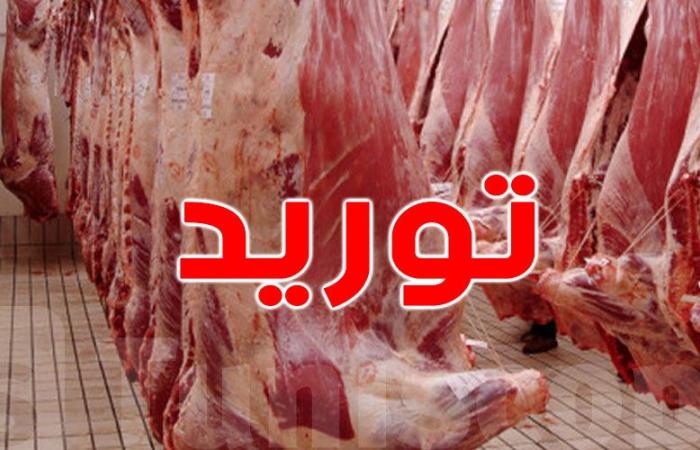 أسبوعيّا: شركة اللحوم تورّد 20 طنا من لحوم الأبقار من فرنسا