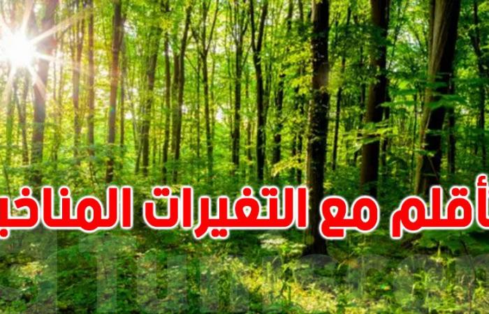 إدارة الغابات: سنغرس أشجار الخرّوب والفرنان والعرعار والزقوقو