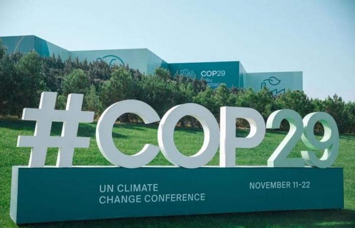 المنظمة العالمية للاقتصاد الأخضر تعلن أجندة مشاركتها في COP29