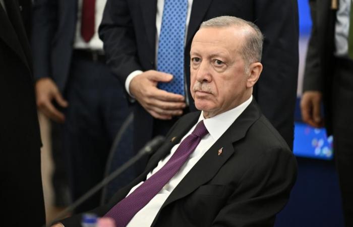 أردوغان يأمل بأن يطلب ترامب من إسرائيل «وقف» الحرب