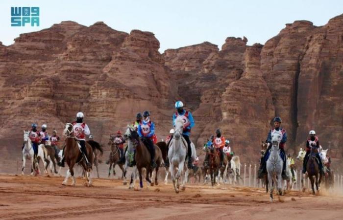 العُلا تستضيف كأسي اللجنة الأولمبية والبارالمبية السعودية للقدرة والتحمل