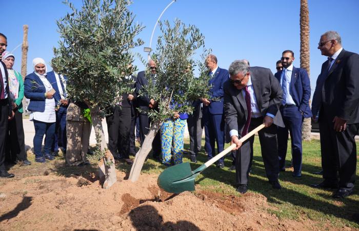 رئيس الرقابة المالية يطلق مع اتحاد التأمين مبادرة زرع الأشجار بشرم الشيخ.. صور