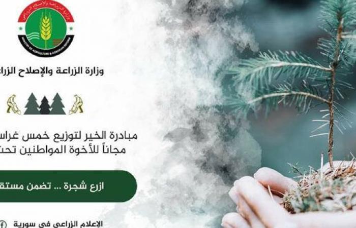 تستهدف توزيع نحو 500 ألف غرسة… الزراعة توضح آلية تنفيذ حملة ‏الخمس غراس المجانية