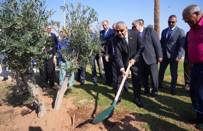 رئيس الرقابة المالية يطلق مع اتحاد التأمين مبادرة زرع الأشجار بشرم الشيخ.. صور