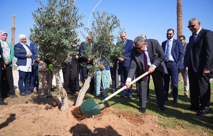 رئيس الرقابة المالية يطلق مع اتحاد التأمين مبادرة زرع الأشجار بشرم الشيخ.. صور