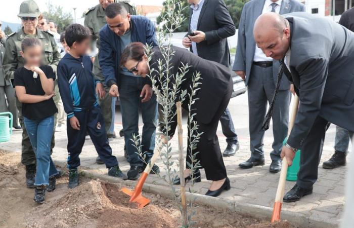 العيد الوطني للشجرة: وزيرة الأسرة تُعطي إشارة إطلاق حملة غراسة 10 آلاف شجرة بمؤسسات الطفولة بكل الولايات