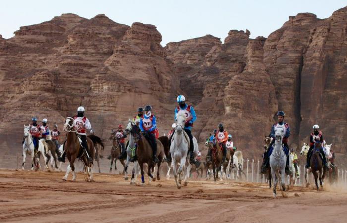 العلا تستضيف كأسي الأولمبية السعودية والشباب والناشئين للقدرة والتحمل