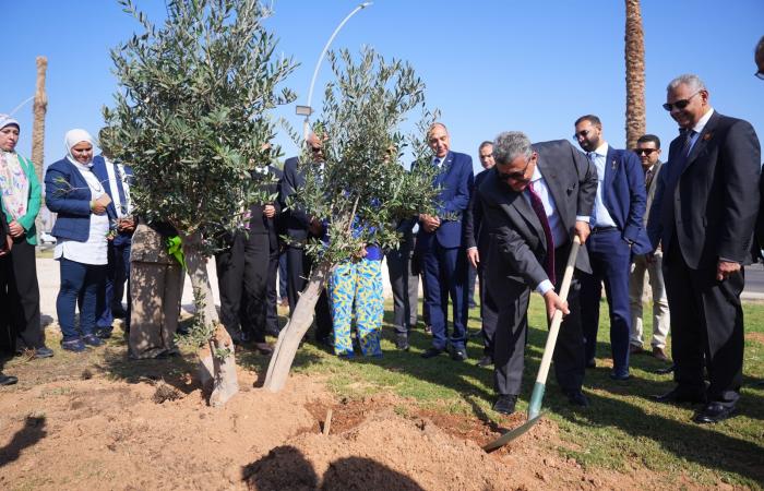 رئيس الرقابة المالية يطلق مع اتحاد التأمين مبادرة زرع الأشجار بشرم الشيخ.. صور