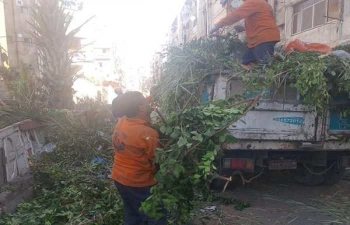 حملة نظافة امام مستشفى فوزى معاذ بكرموز