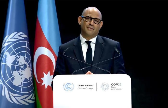 سيمون ستيل: نشكر الإمارات على جهودها خلال رئاستها «COP28»