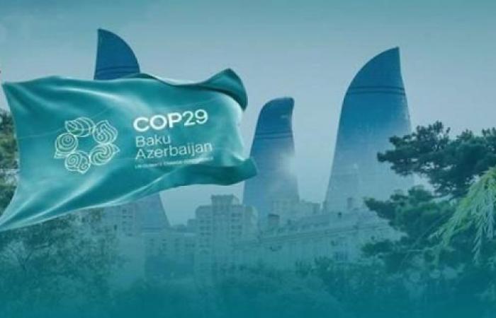 دول مشاركة في COP29 توافق على إطار عمل لسوق كربون عالمية