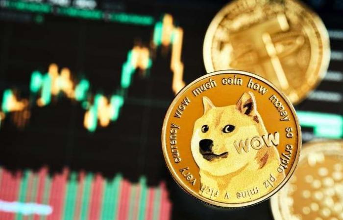 عملة Dogecoin تقفز بعد تعيين إيلون ماسك في إدارة ترامب الجديدة