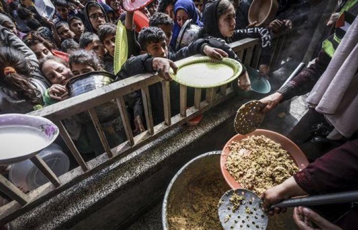 المنظمات الأهلية الفلسطينية: نطالب بلجان دولية للتحقيق فى جرائم الاحتلال