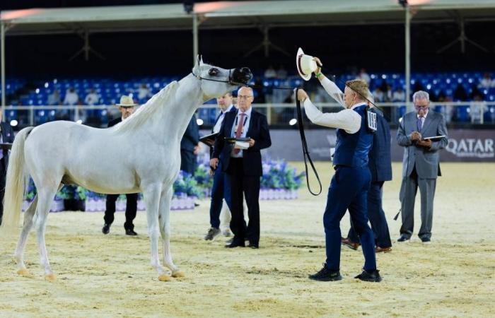 النصر: الرياض تزخر بتاريخ الخيول العربية في تقاطع التقاليد والحداثة