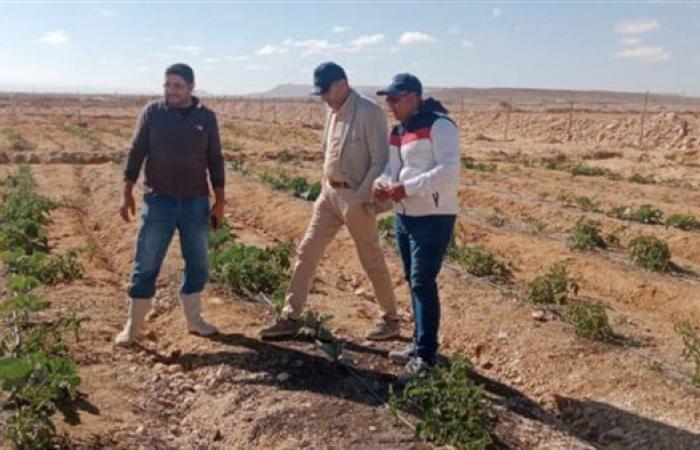 “بحوث الصحراء” وجهاز تحسين الأراضي يتابعان أعمال التنمية بتجمعات سيناء