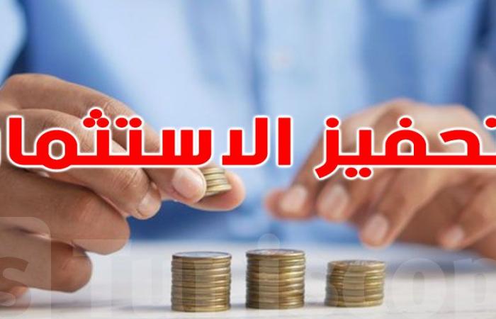 قريبا: إطلاق منصّة وطنية للاستثمار لتيسير الإجراءات للمستثمرين التونسيين والأجانب