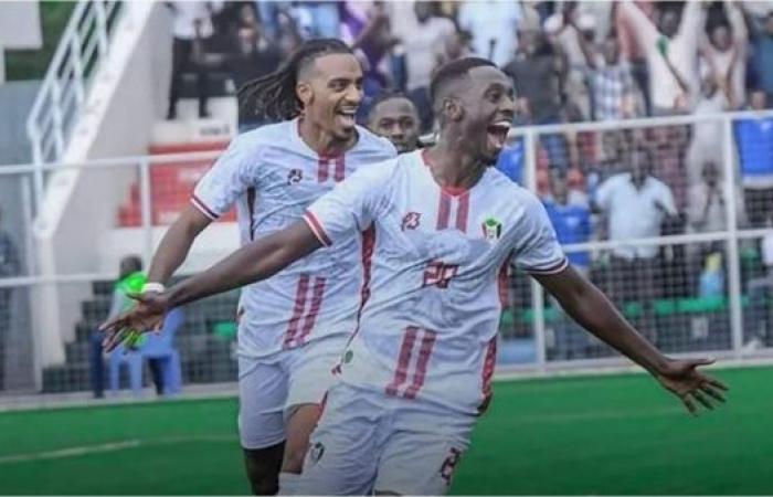 إقصائيات كأس أفريقيا.. السودان تحجز بطاقة النهائيات وليبيا تفشل في الحضور