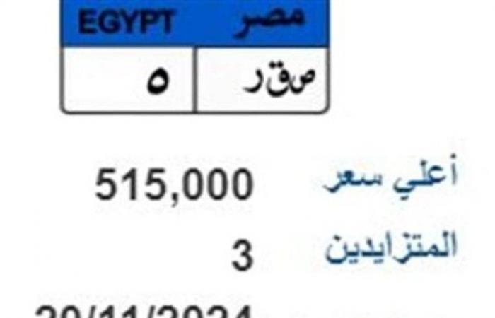 "صقر وقوة وجند" لوحات معدنية مميزة تجاوزا نصف مليون جنيه