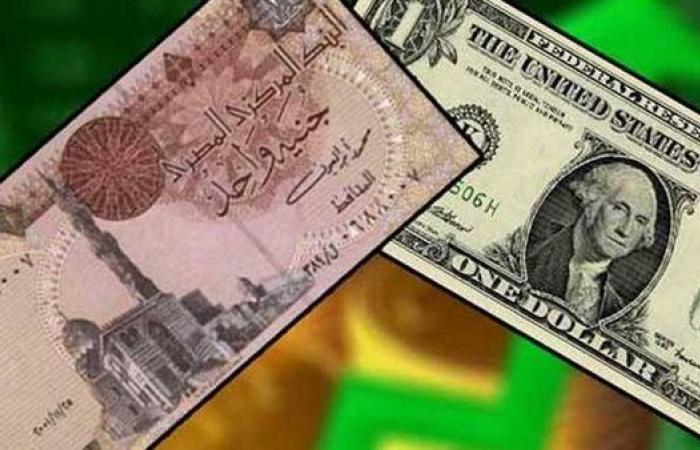 سعر الدولار اليوم الأربعاء 20 نوفمبر 2024