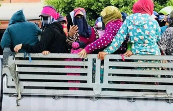 عاجل : إصابة 10 عاملات فلاحة في حادث مروري مروع بالكاف