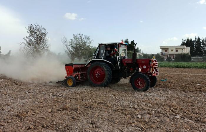 زراعة محصول القمح بـ"السطارة" بالبحيرة.. المزراعون: توفر التقاوي وتساهم في زيادة الإنتاجية