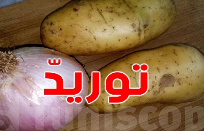 تونس: شحنة البطاطا المورّدة مازالت تخضع للتحاليل قبل توزيعها