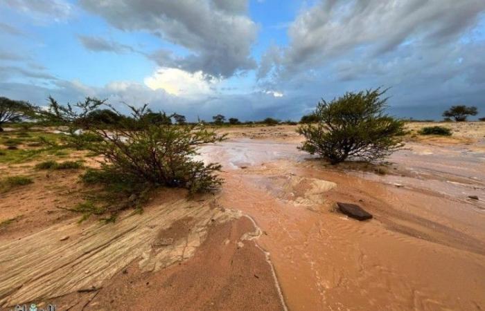 فرصة لهطول الأمطار على معظم مناطق المملكة