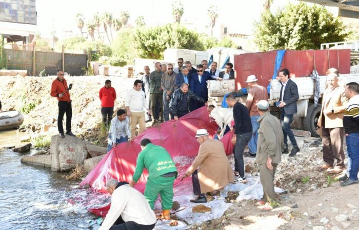 محافظ الدقهلية يشهد إلقاء مليون وحدة زريعة سمكية بالمنصورة