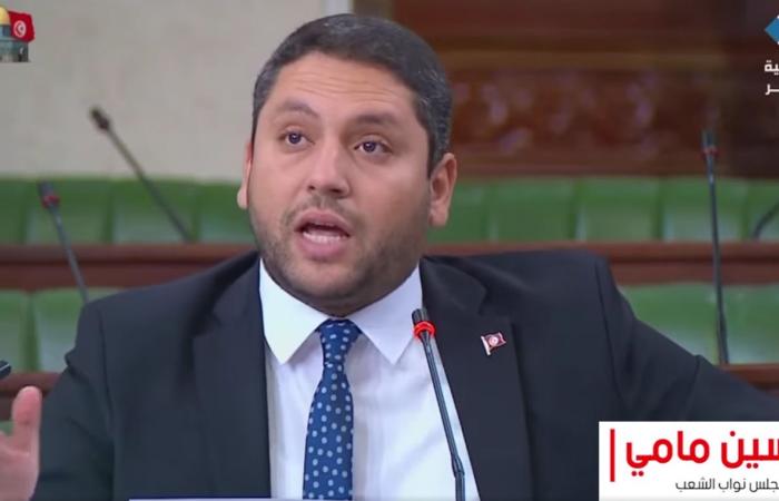 ياسين مامي: التنمية والاستثمار هما الحلّ وليس الجباية