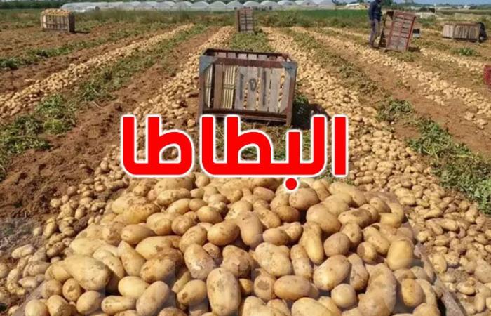 سوسة: التحقيق في شحنة بطاطا مورّدة من تركيا