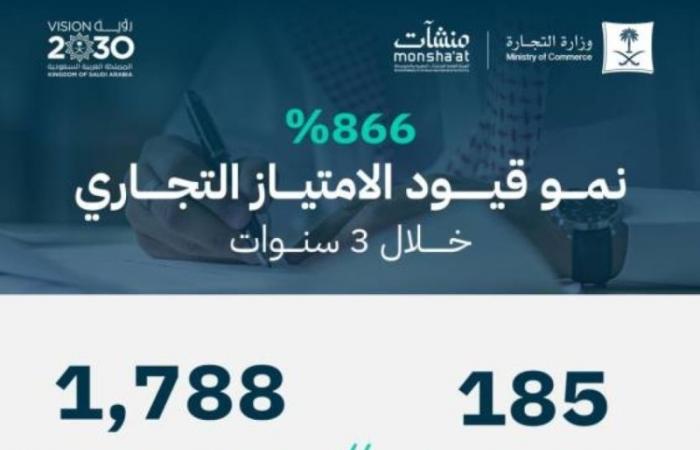 866 % نمو الامتياز التجاري خلال 3 سنوات.. والسياحة والمطاعم تتصدر الأنشطة