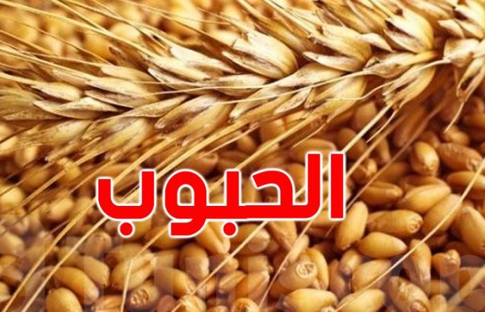 ديوان الحبوب يطرح مناقصة لشراء 200 ألف طن من القمح اللين والصلب