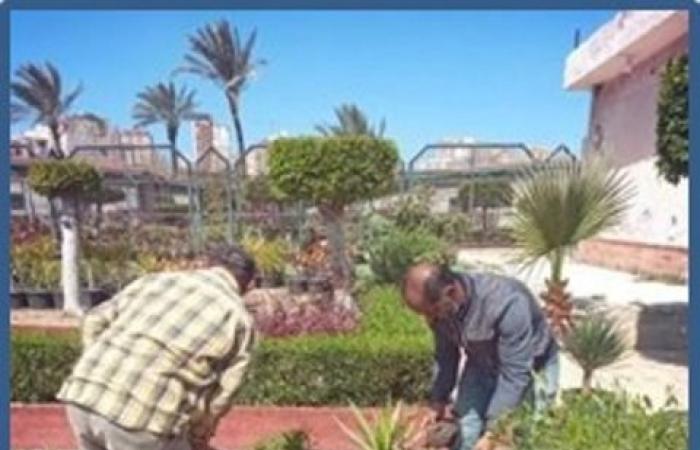 بنسبة انجاز 99% زارعة  72 الف  شجرة جديدة بالاسكندرية