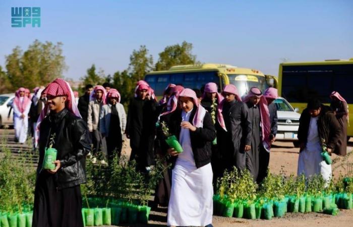 مبادرة لزراعة 1000 شتلة بمحافظة تيماء