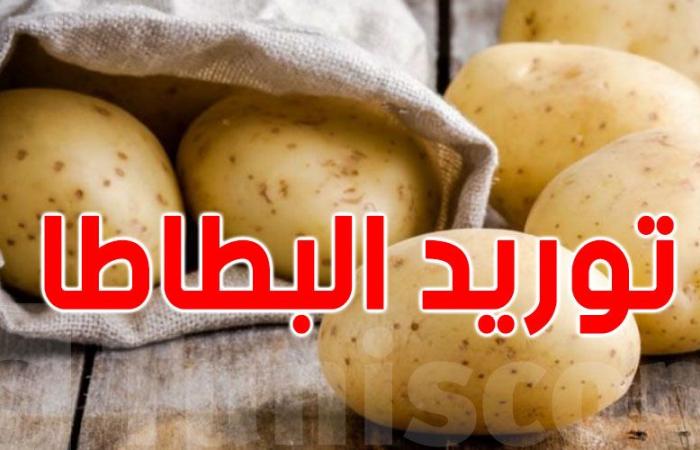 سوسة: ايقاف مورّد البطاطا المصابة بالبكتيريا