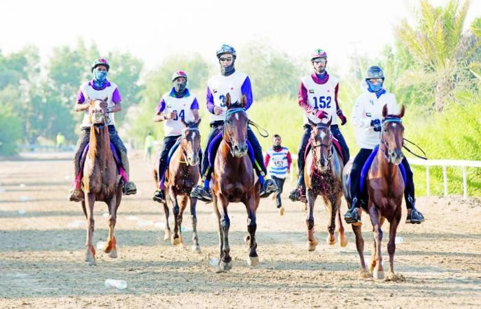 مدينة دبي الدولية للقدرة تحتضن سباق كأس الشهيد