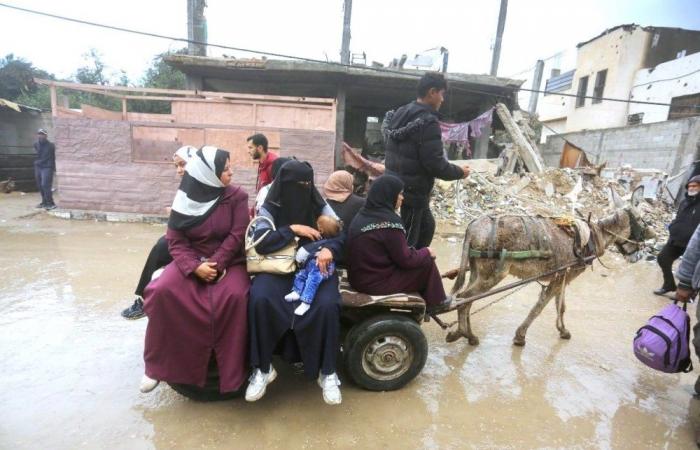 الجوع يفتك بغزة.. و«الأونروا»: الفلسطينيون يأكلون من النفايات