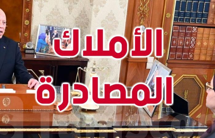 عاجل : جرد الممتلكات المصادرة، كنز خفي لدعم موارد الدولة التونسية