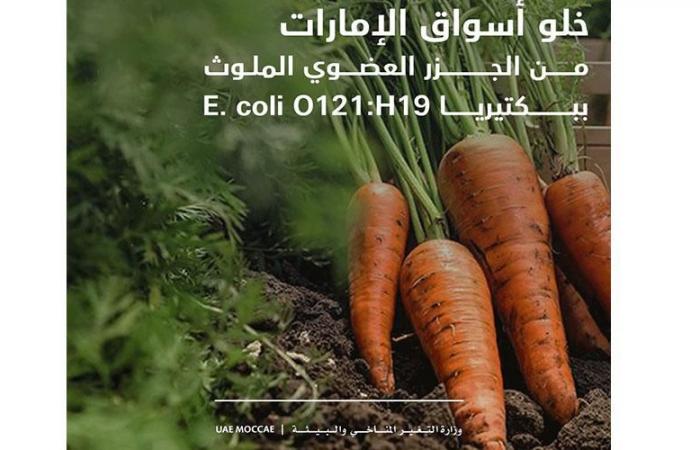 خلو أسواق الإمارات من الجزر العضوي الملوث بالبكتيريا