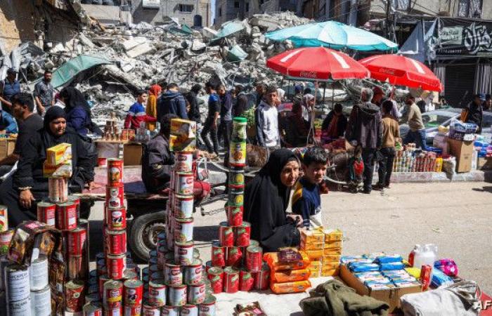 "الأغذية العالمي": أسعار المواد الغذائية بغزة ارتفعت بنسبة تزيد عن 1000%