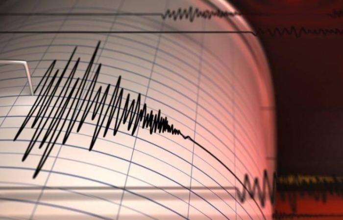 زلزال بقوة 4.6 درجات يضرب سواحل جنوب المحيط الهادئ