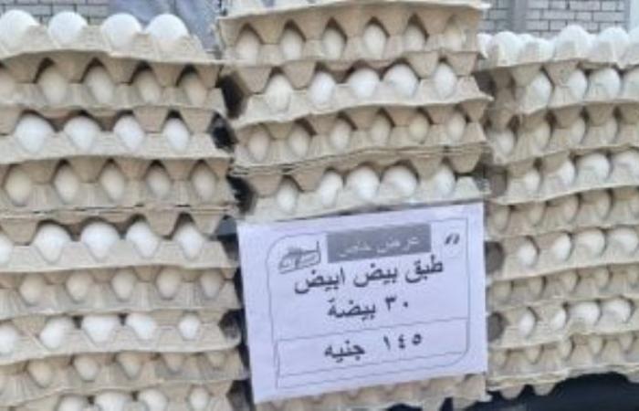 طرح جميع السلع الغذائية الأساسية .. سوق اليوم الواحد بالعمرانية يطرح بيض المائدة بـ145 جنيهًا