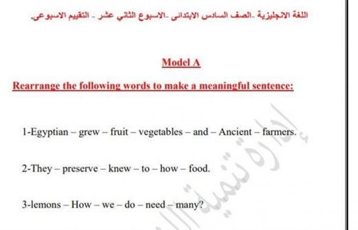 مراجعات نهائية.. أسئلة تقييم الاسبوع الـ 12 في اللغة الإنجليزية الصف السادس الابتدائي