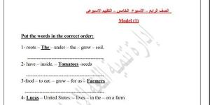 مراجعات نهائية.. اسئلة تقييم الأسبوع الخامس لغة انجليزية الصف الرابع الابتدائي