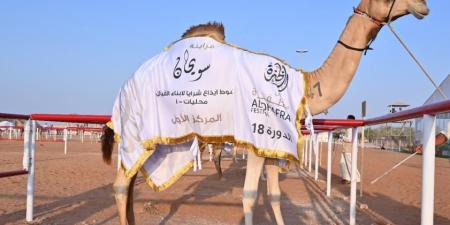 منافسات قوية في أشواط الإيذاع بمزاينة سويحان